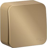 Переключатель накладной Systeme Electric Blanca 1-кл. проходной титан картинка